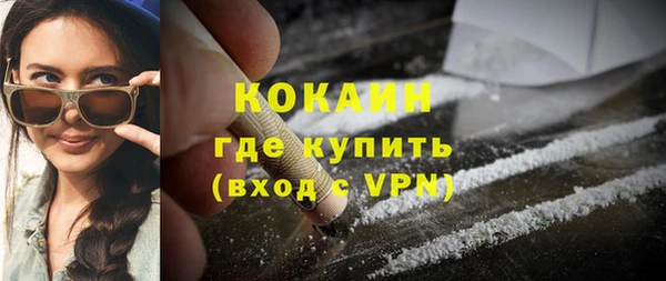 твердый Лиски