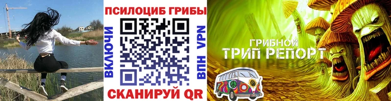 Галлюциногенные грибы GOLDEN TEACHER  как найти закладки  Брянск 