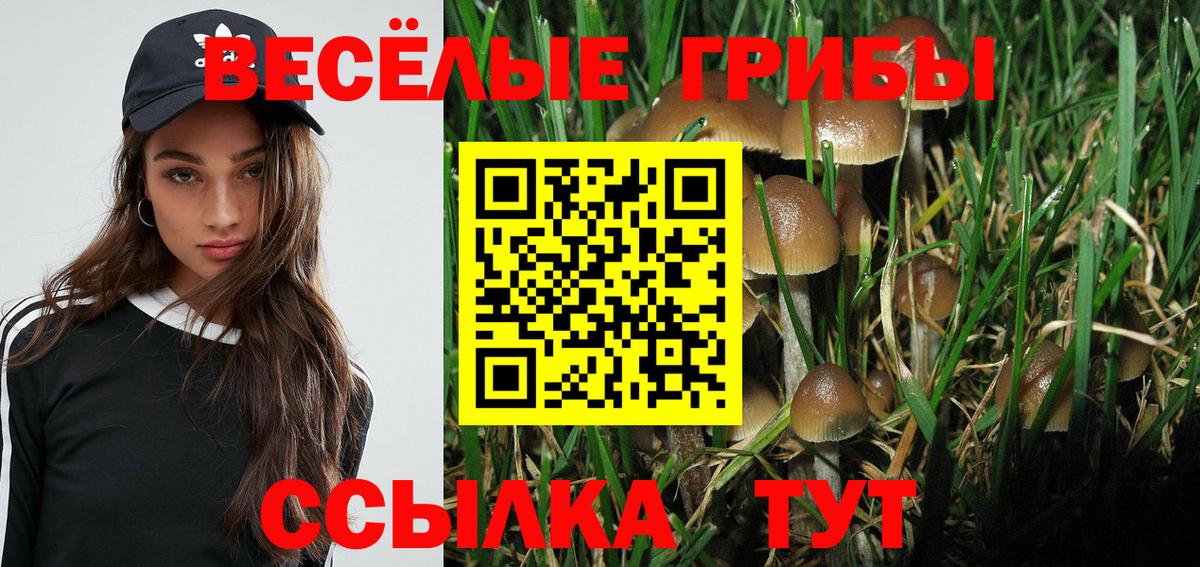 Псилоцибиновые грибы мухоморы  Вход с VPN  Брянск 